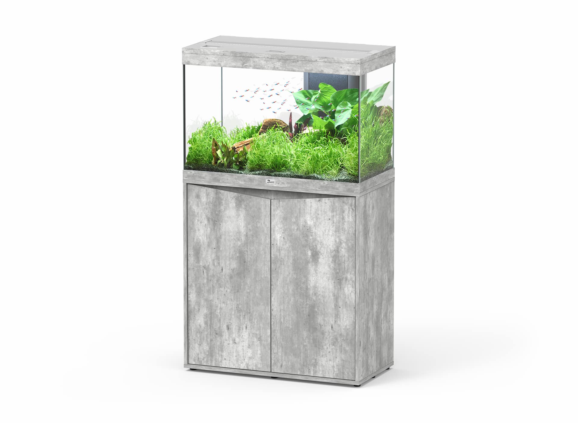 SPLENDID 80_SET CABINET 059